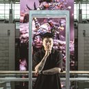 아트센터 나비 미술관 | 알파고에서 시작된 AI 미디어 아트, 뉴미디어 아티스트 조영각 인터뷰 후기/AI는 어떻게 예술이 되는가