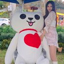 진도개 사랑 이미지