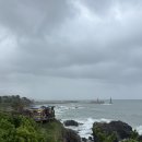 하서리316 이미지