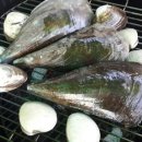 힐마레 펜션 네이버블로그