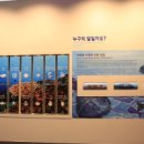 해양생태전시관 이미지