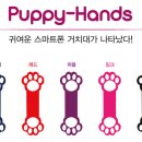 퍼플퍼피 이미지