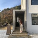 카페자연 이미지