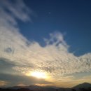 송도반점 이미지