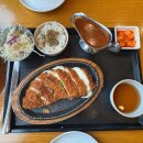 홍익점 | [원주] 돈까스 맛집! 행구동 홍익돈까스 내돈내산 후기