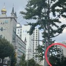 서울병원 개방화장실 | W1. 웨딩홀 투어 후기 | 벨라루체웨딩홀 서울점 루체홀, 웨딩홀 투어 체크리스트 공유 / 26년 하반기...