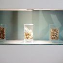 온바디한의원 이미지