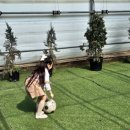 모래틈농장 이미지