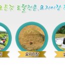 성심장묘토탈서비스