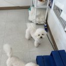 이브자리운 이미지