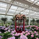 여행시작 | 제주도 기사포함 렌트카 공항도착하자마자 바로 시작한 제주 여행 후기