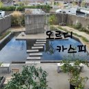 학장천 | 오르디카페 학장 방문 후기: 너무예쁜 벚꽃나무 귤나무가 진짜였을까? 솔직한 감동 이야기