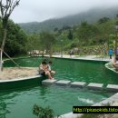 애원민박 이미지