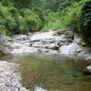 동점초등학교 이미지