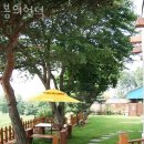 봄의언덕 이미지