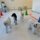 엘라 유치원 이미지