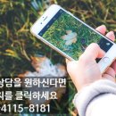 은하빌 이미지