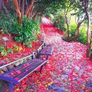 동백바다 이미지