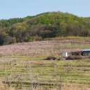 신성중학교 이미지