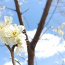 광주 전남의 미래! 송영길만이 할 수 있습니다! - 송주환 이미지