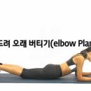 플랑크(plank)