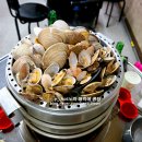 중앙동281 이미지