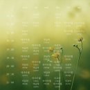 에이플러스그룹(주) | [원종] 에이플러스필라테스 아로마 병행하는 감성맛집 그룹레슨 1회차 후기