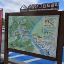 아트카 | 소금산 그랜드밸리 케이블카 출렁다리 &amp; 미디어아트센터 후기 (원주 여행 명소 코스 추천!!)