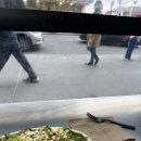 민정민박 | 02 NYC _ DAY 1,2