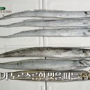 제주은갈치 이미지