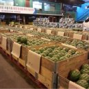 맹동농장 이미지