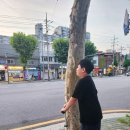 봉산여관 네이버블로그