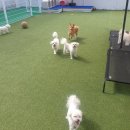 단골가개 이미지