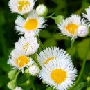 공암나루근린공원 이미지