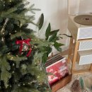 스테이옥정 이미지