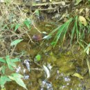 가학충전소 이미지