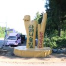 김희선제주몸국 이미지