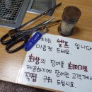 장어나다 이미지
