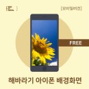 해바라기모바일 이미지