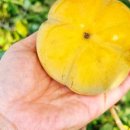 해용농장 이미지