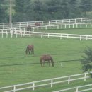 연천목장 이미지