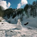 화성안경 이미지