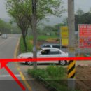 하광교동느티나무정류장 이미지