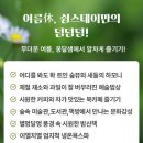 지금이 가장 저렴합니다! 여름休 스테이 얼리버드 이미지
