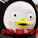 콕콕콕