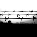 아일랜드펜션민박 이미지