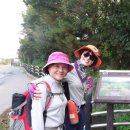 부천둘레길5코스 이미지