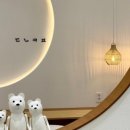 동네커피 초장점 이미지