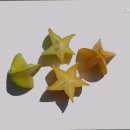 은혜인력 | 은혜안식관 신뢰할 수 있는 요양원