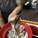 대월푸드 | [내돈내산] 겨울은 굴의 계절! 🦪 통영 생굴 1kg 시켰다가 싱싱함에 기절한 썰